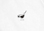 design a professional logo and branding